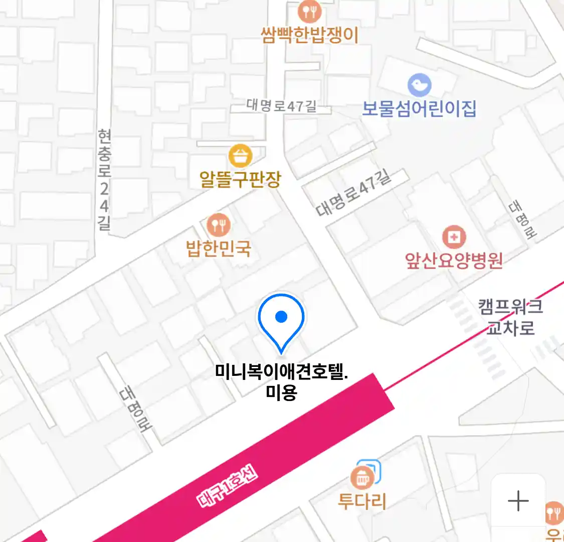 미니복이애견호텔.미용