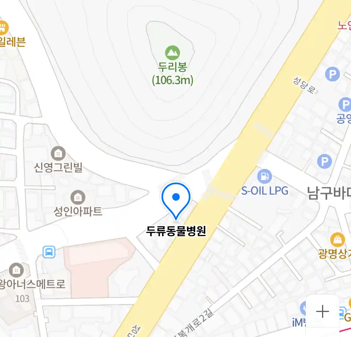 두류동물병원