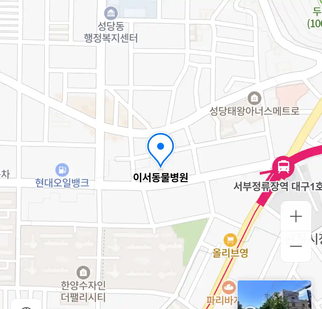 이서동물병원