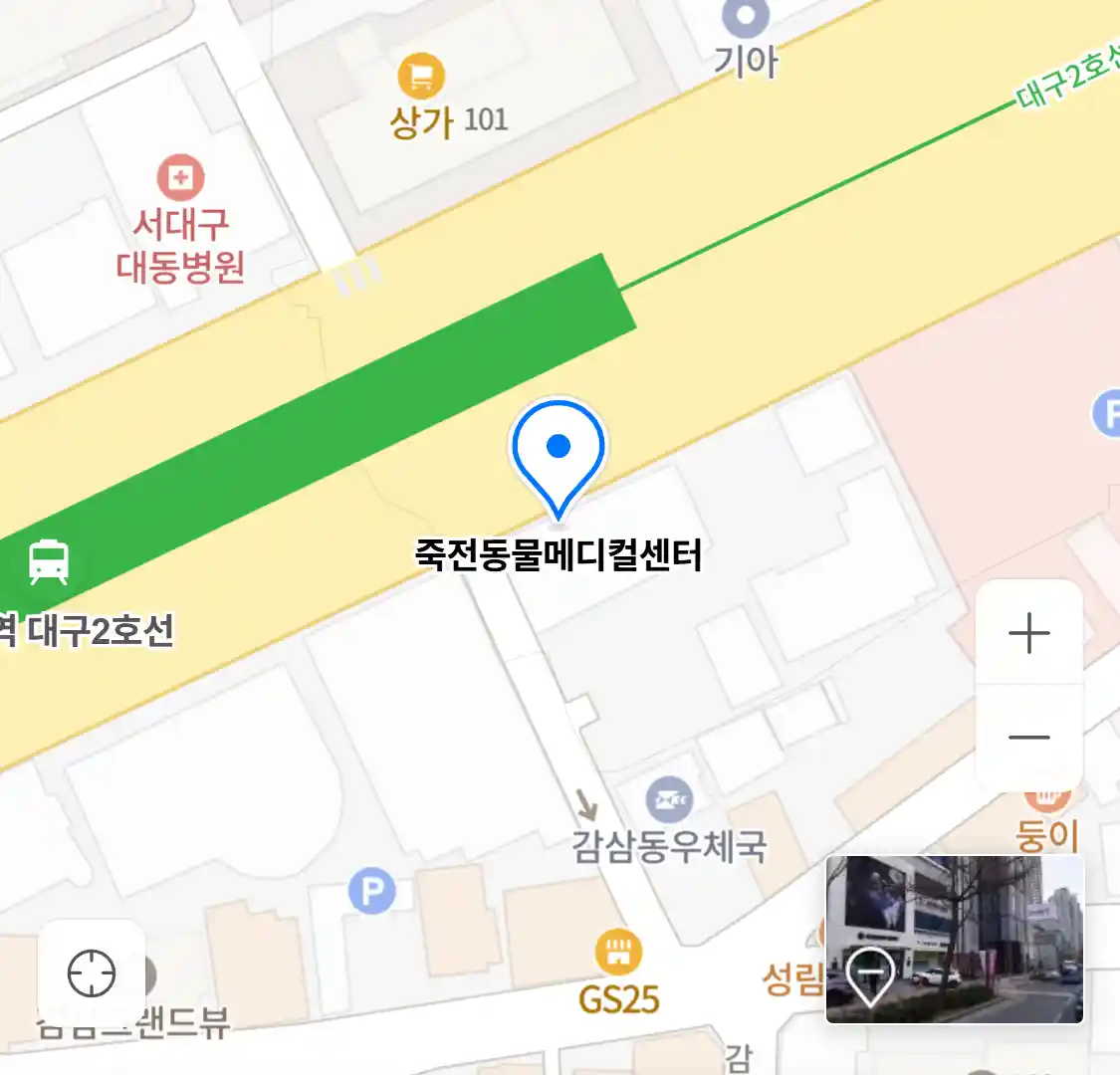 죽전동물메디컬센터