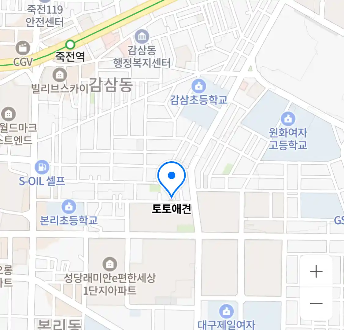 토토애견