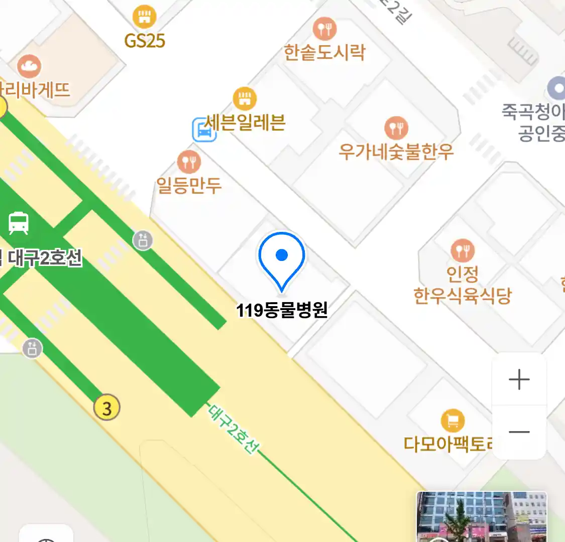 119동물병원