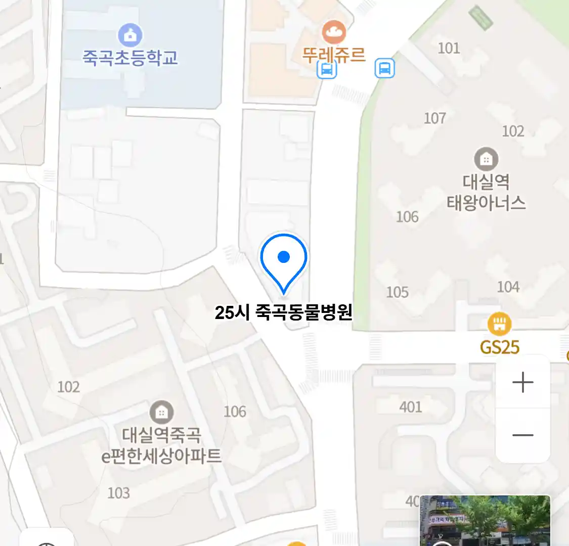 25시 죽곡동물병원