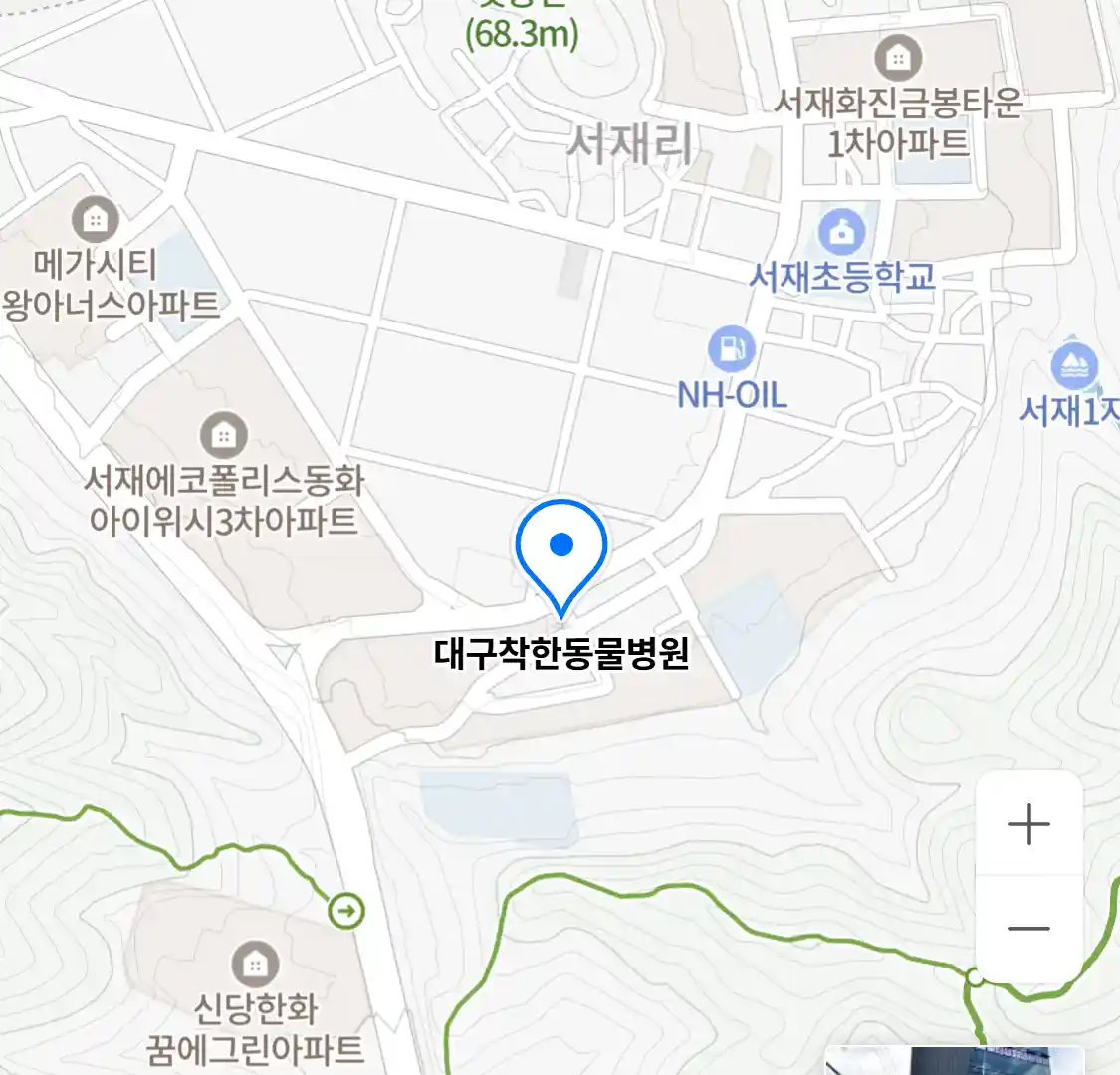 대구착한동물병원