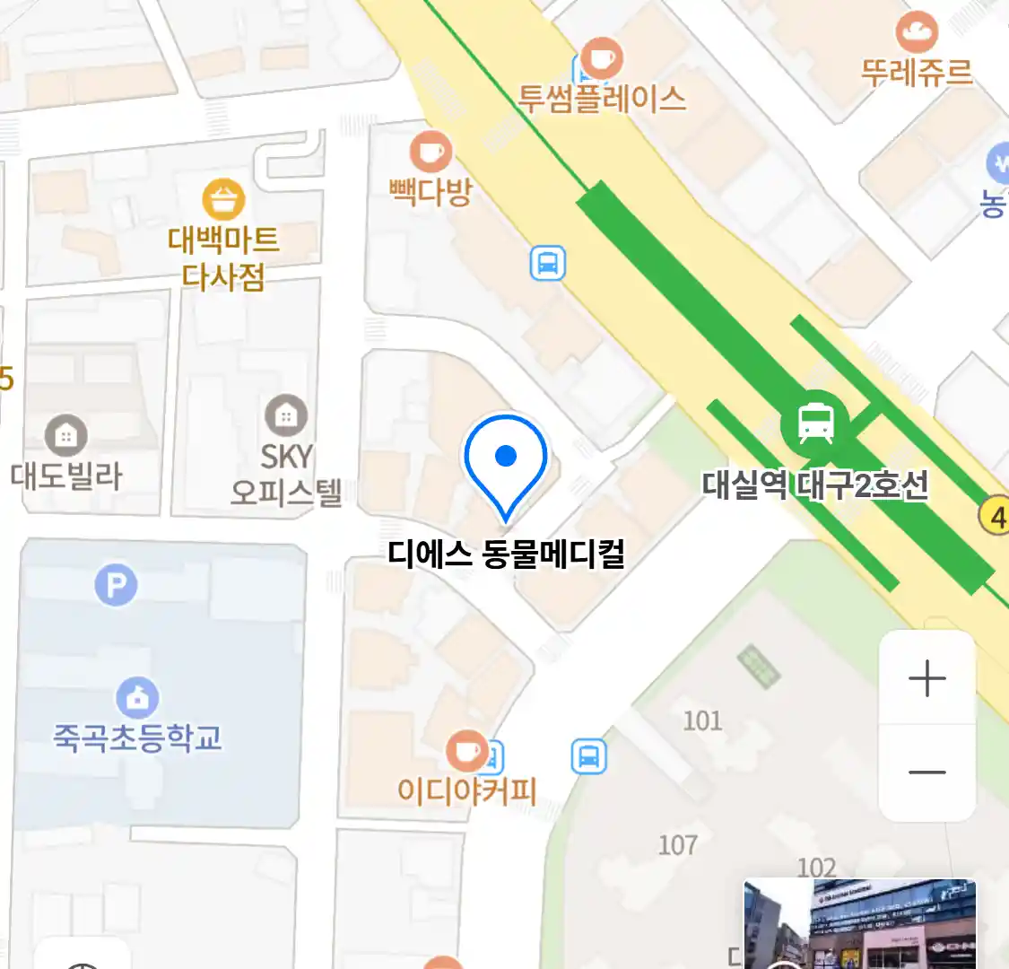 디에스 동물메디컬