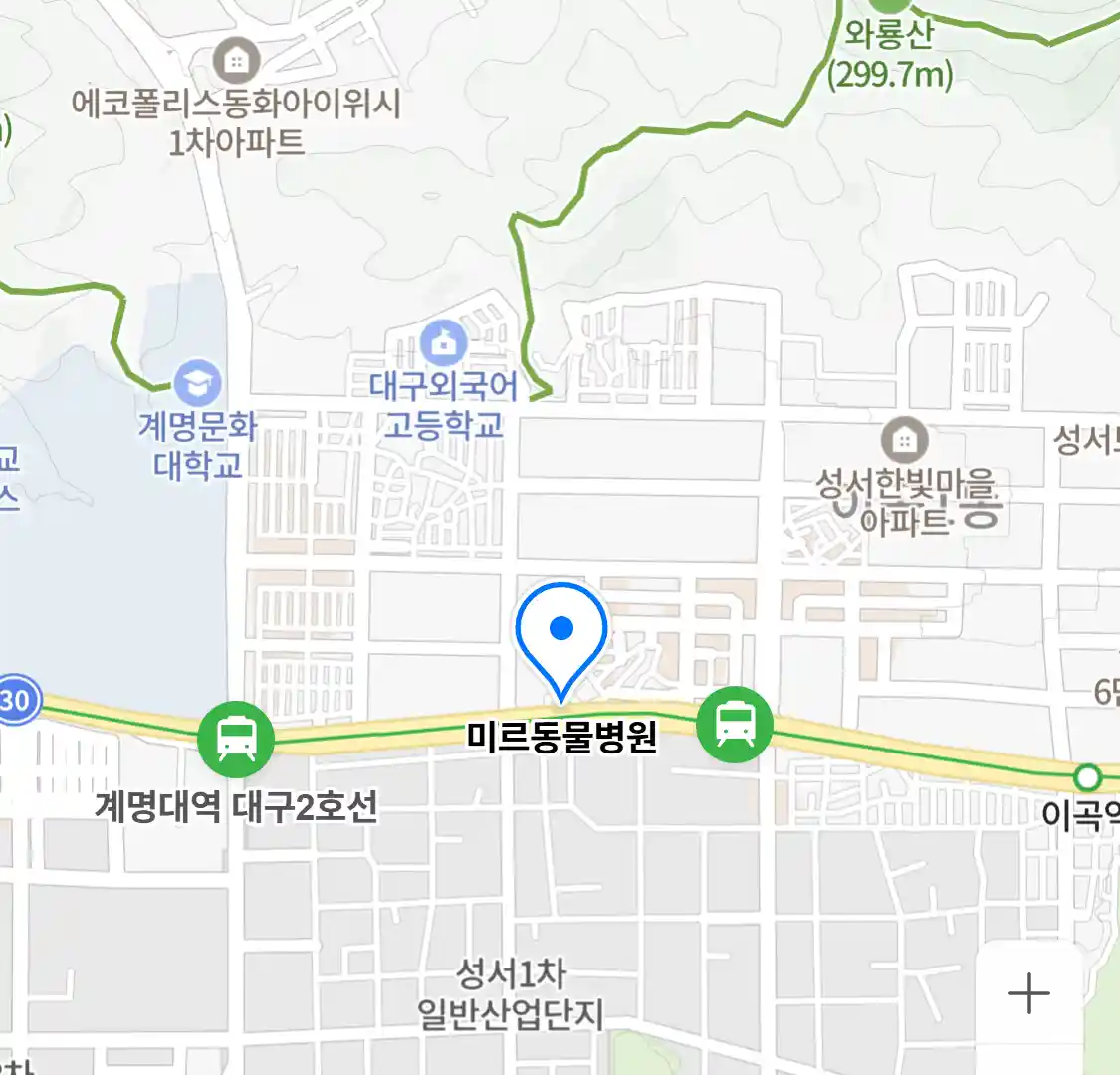 미르동물병원