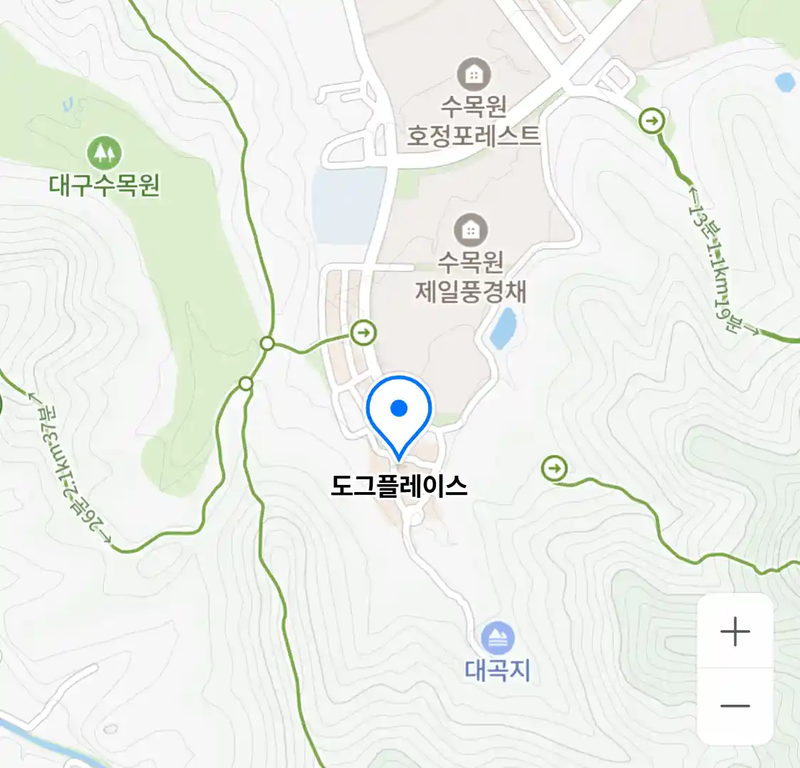 도그플레이스