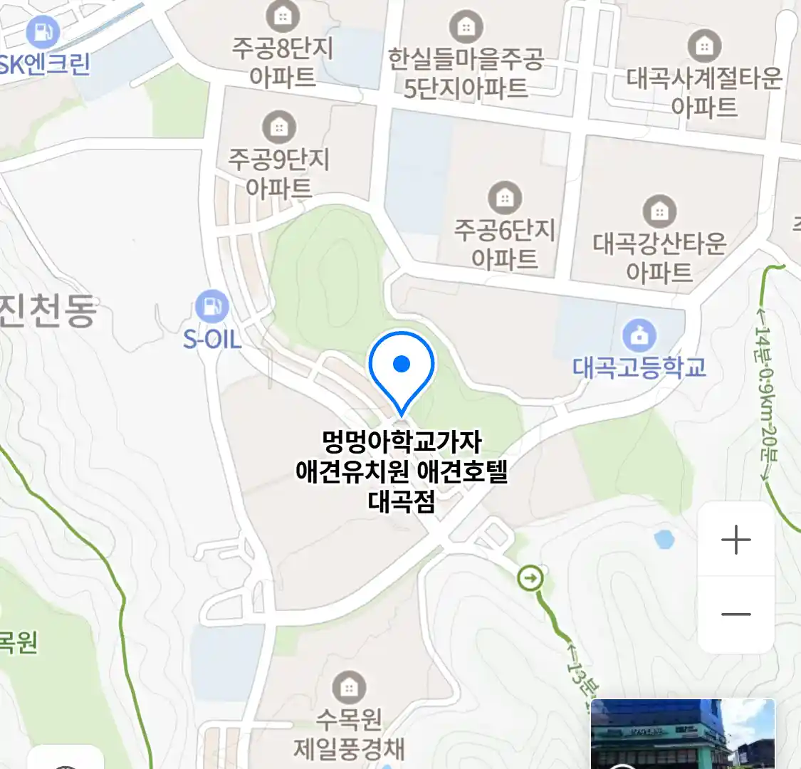 멍멍아학교가자 애견유치원 애견호텔 대곡점