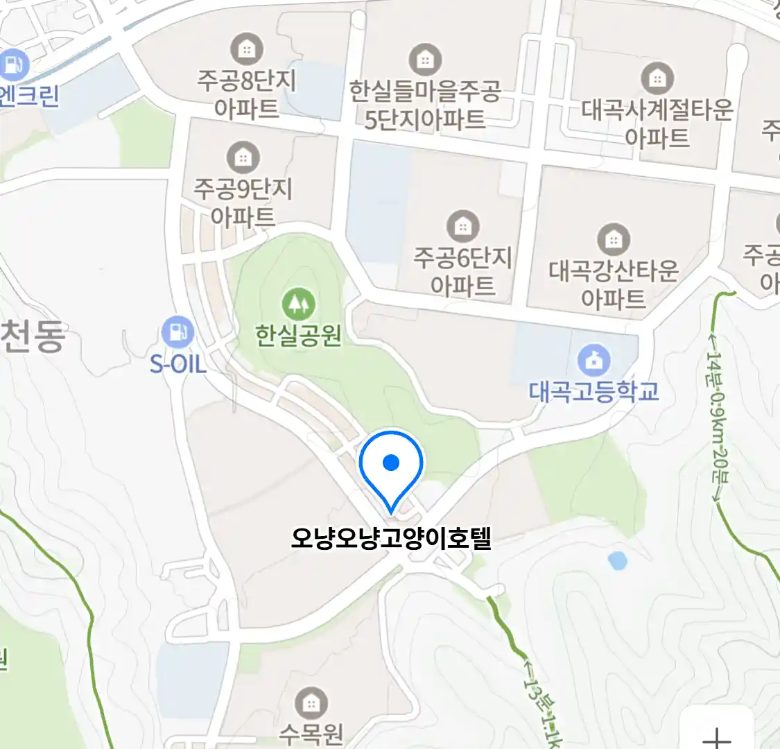 오냥오냥고양이호텔