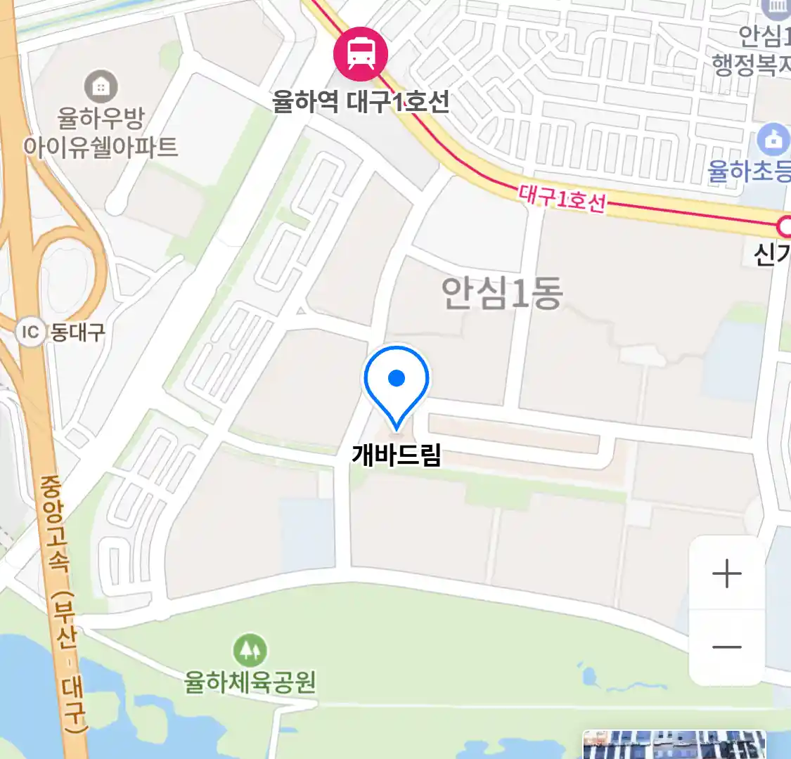 개바드림