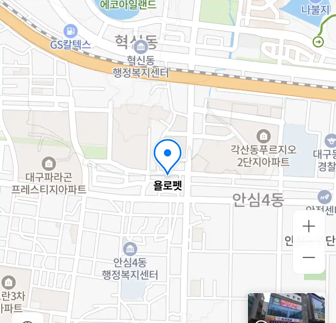 욜로펫