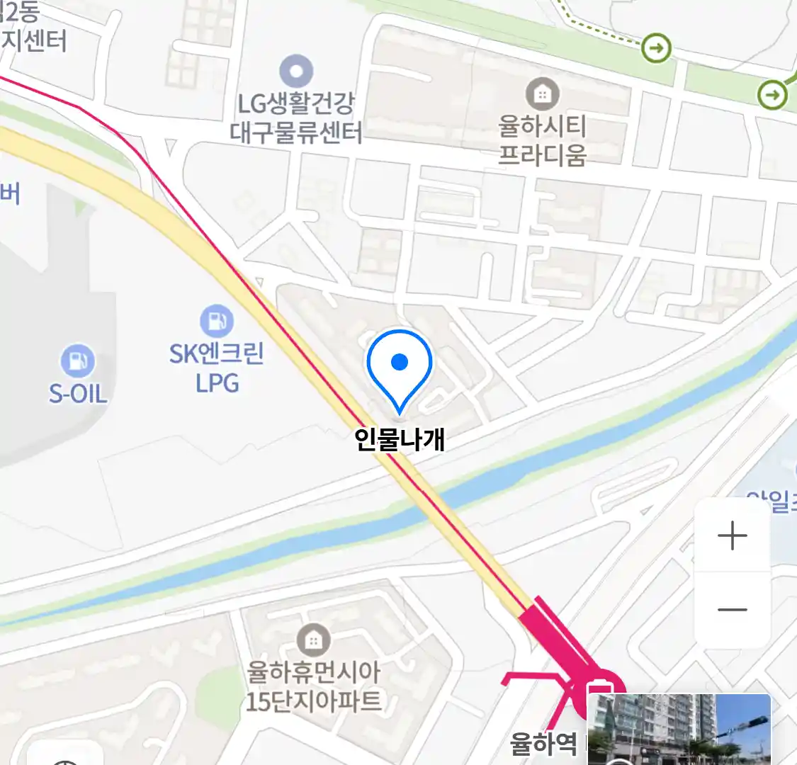 인물나개