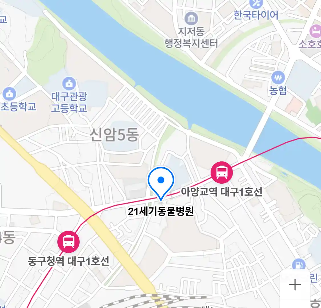 21세기동물병원