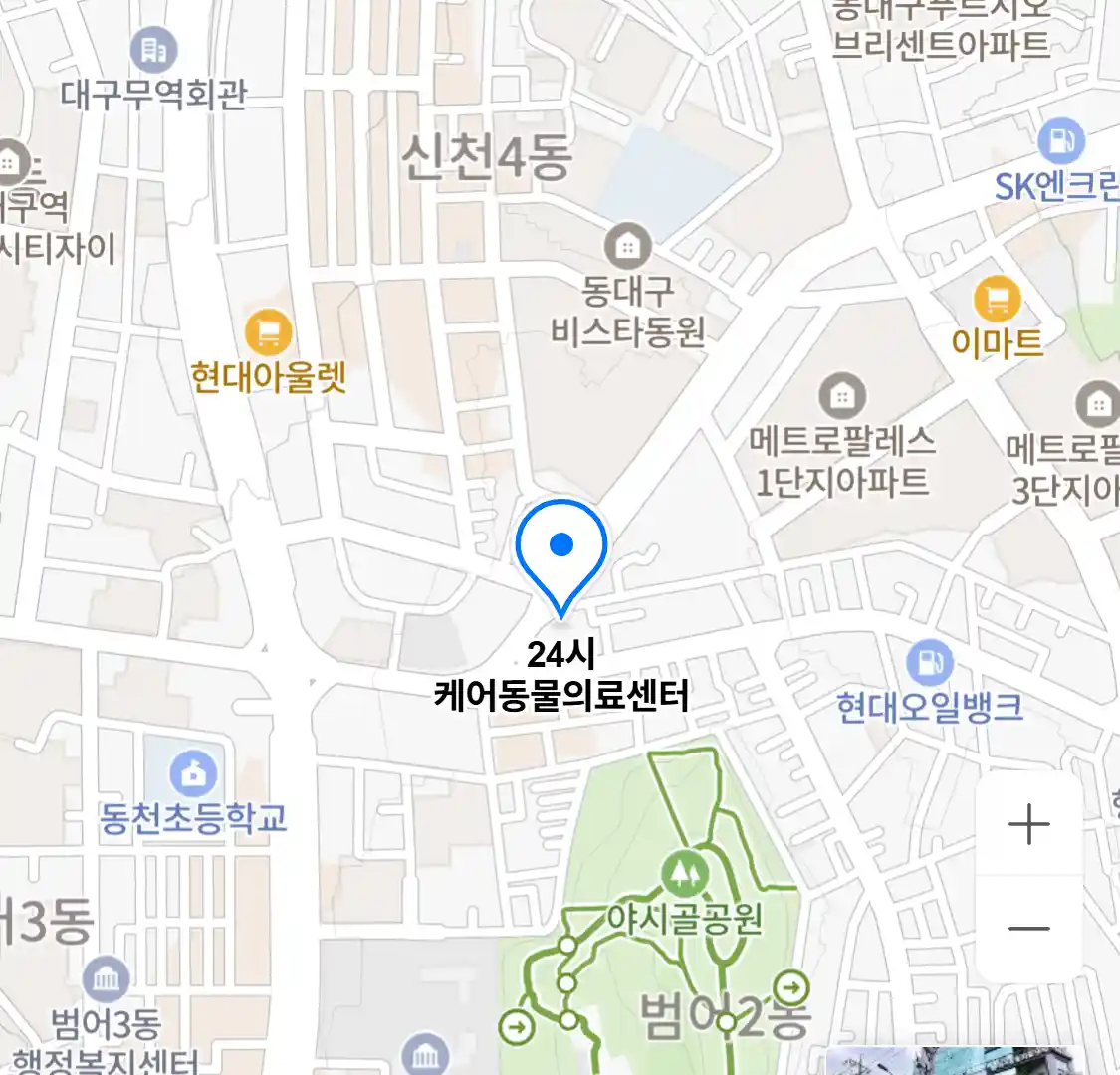 24시 케어동물의료센터