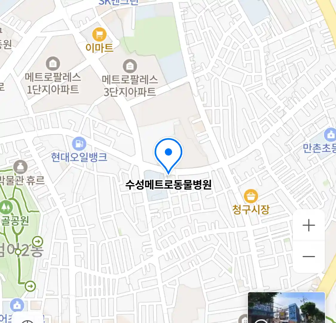 수성메트로동물병원