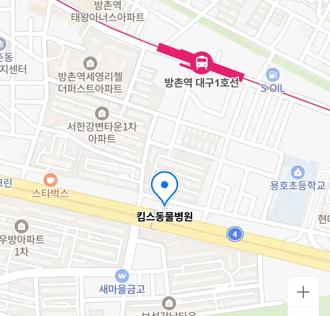 킴스동물병원