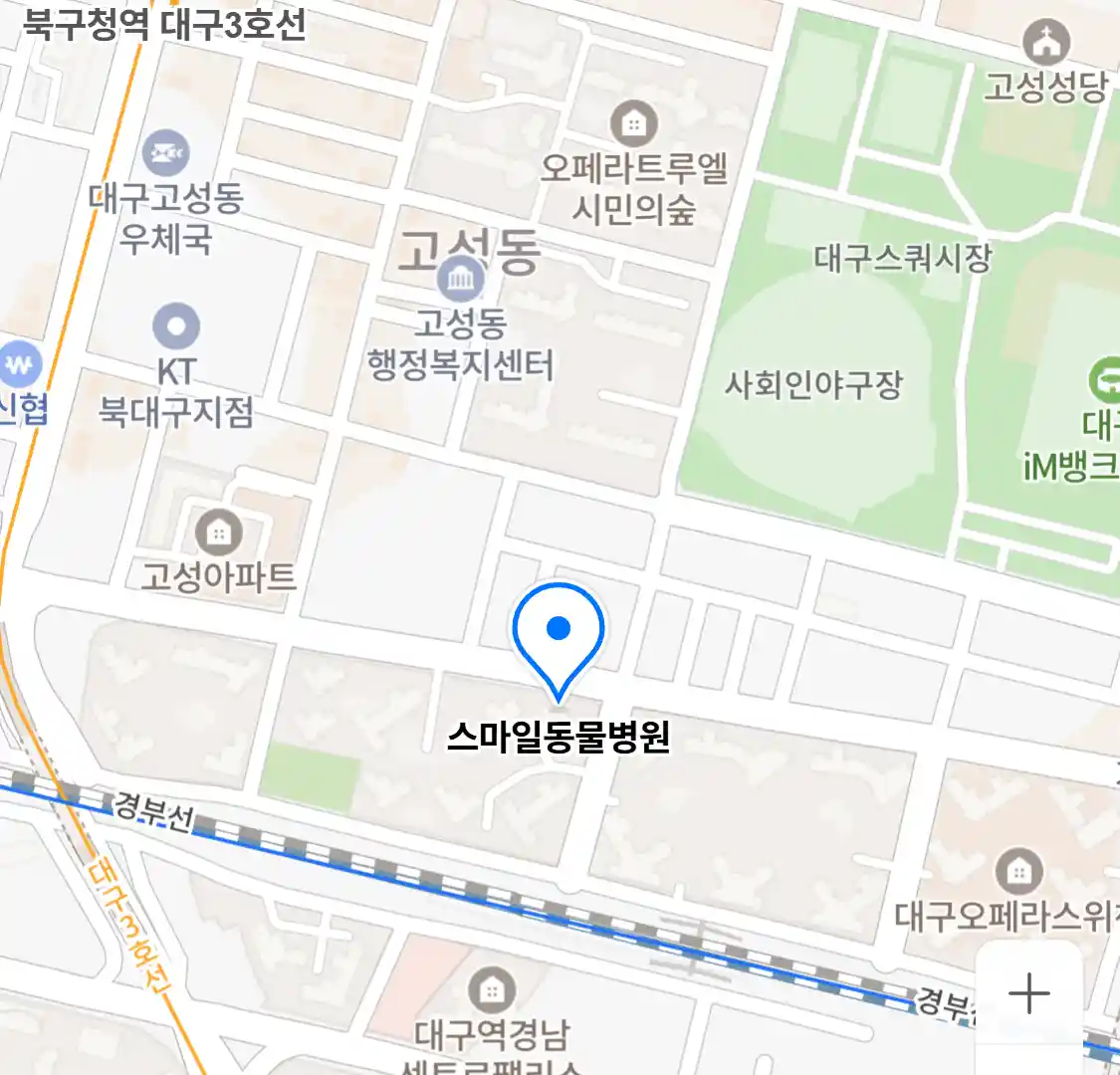 스마일동물병원