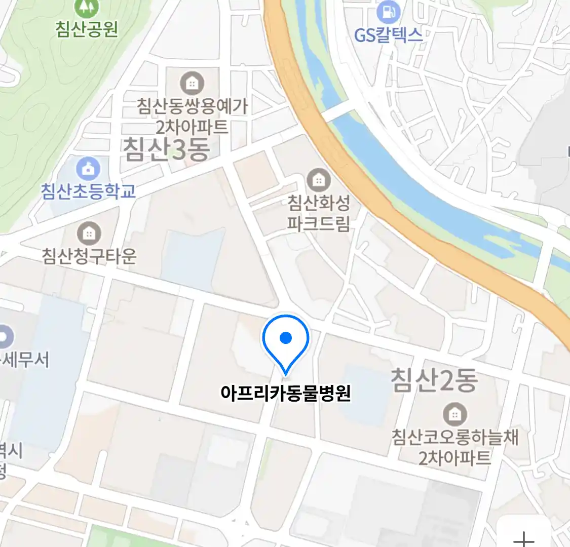아프리카동물병원