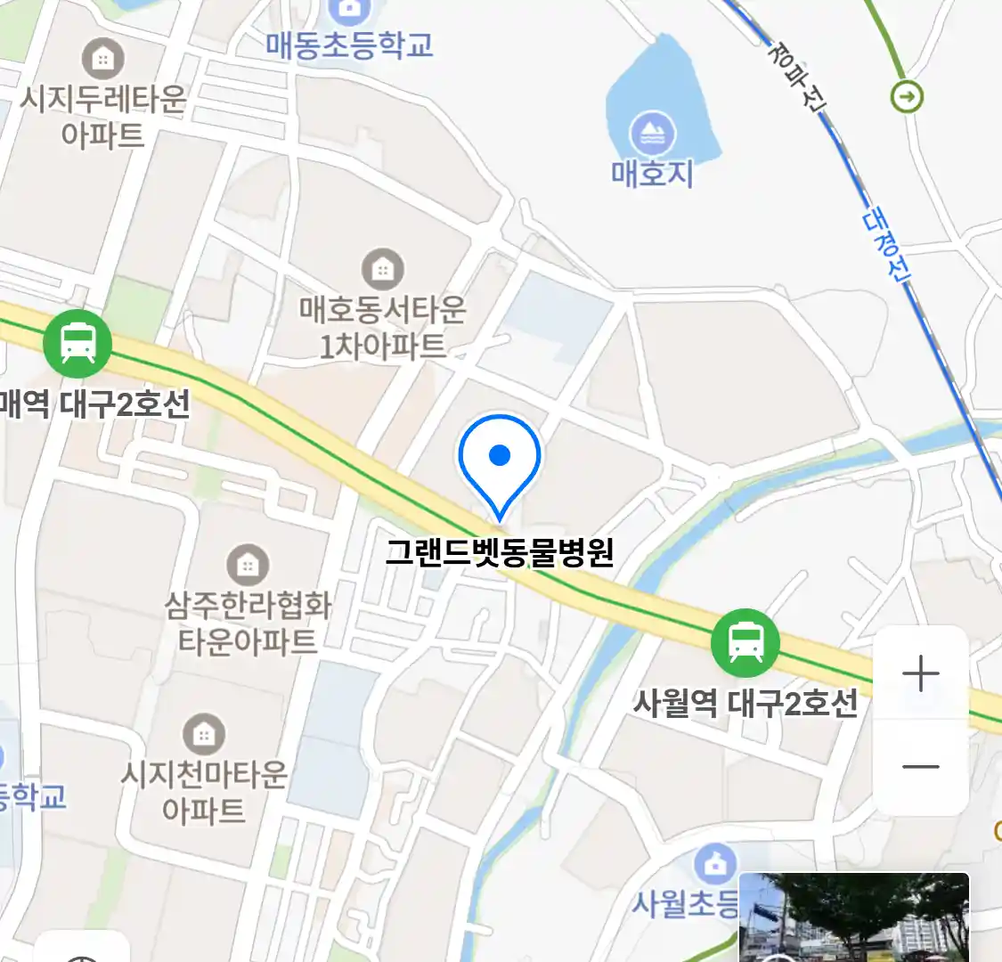그랜드벳동물병원