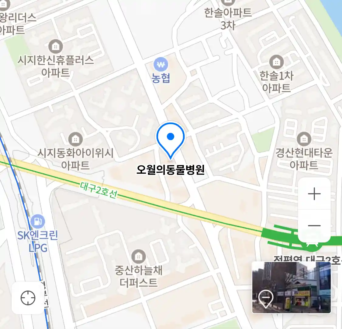 오월의동물병원