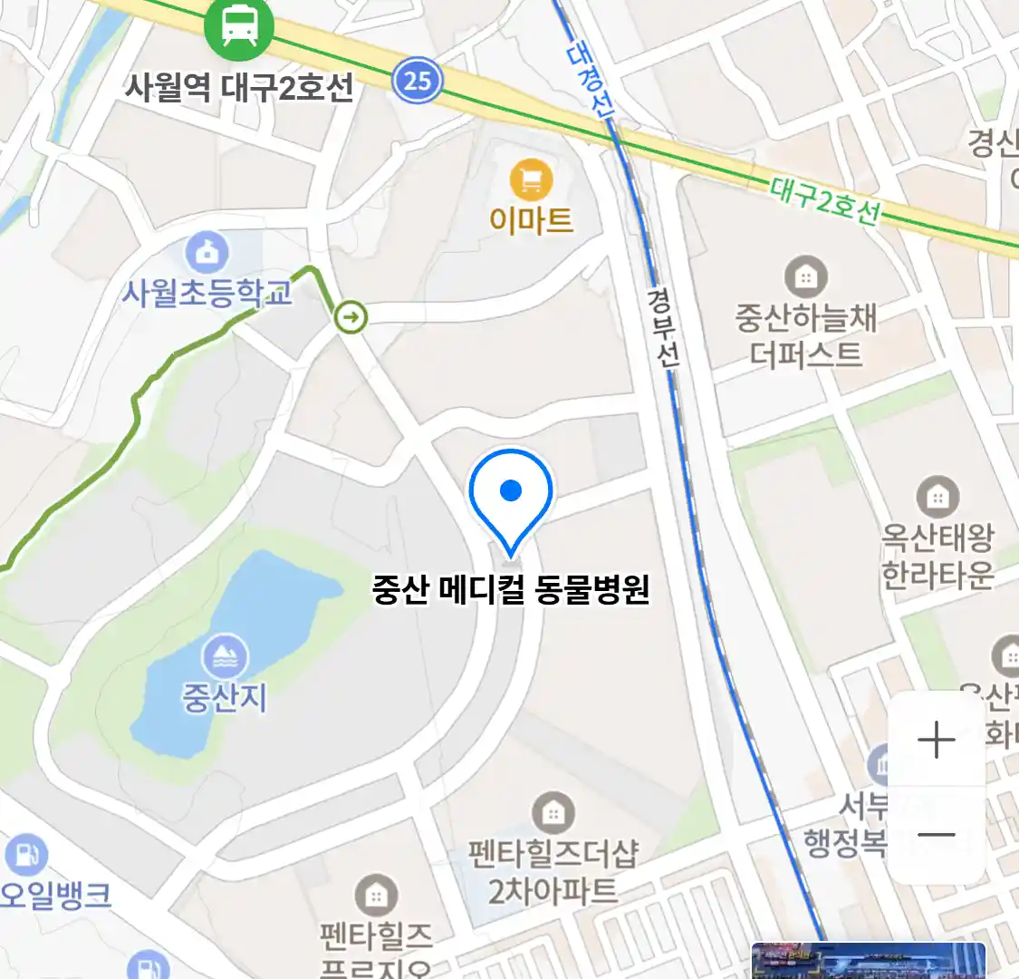 중산 메디컬 동물병원