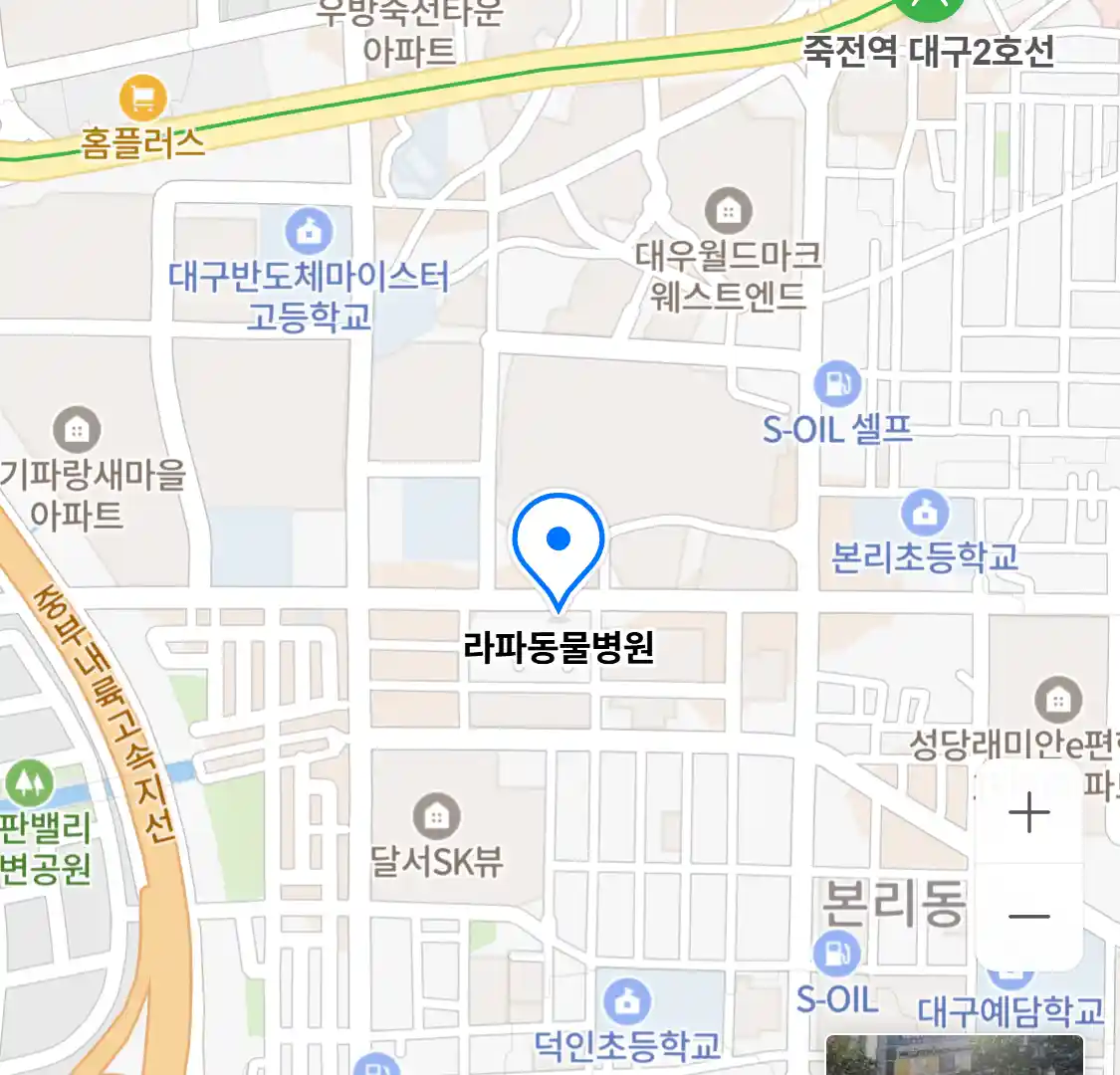 라파동물병원