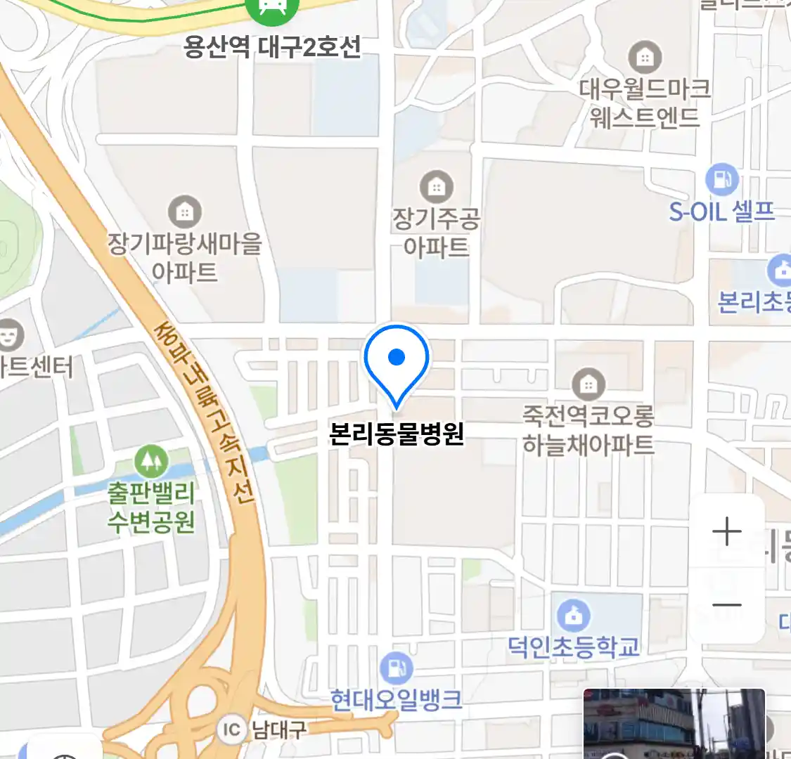 본리동물병원