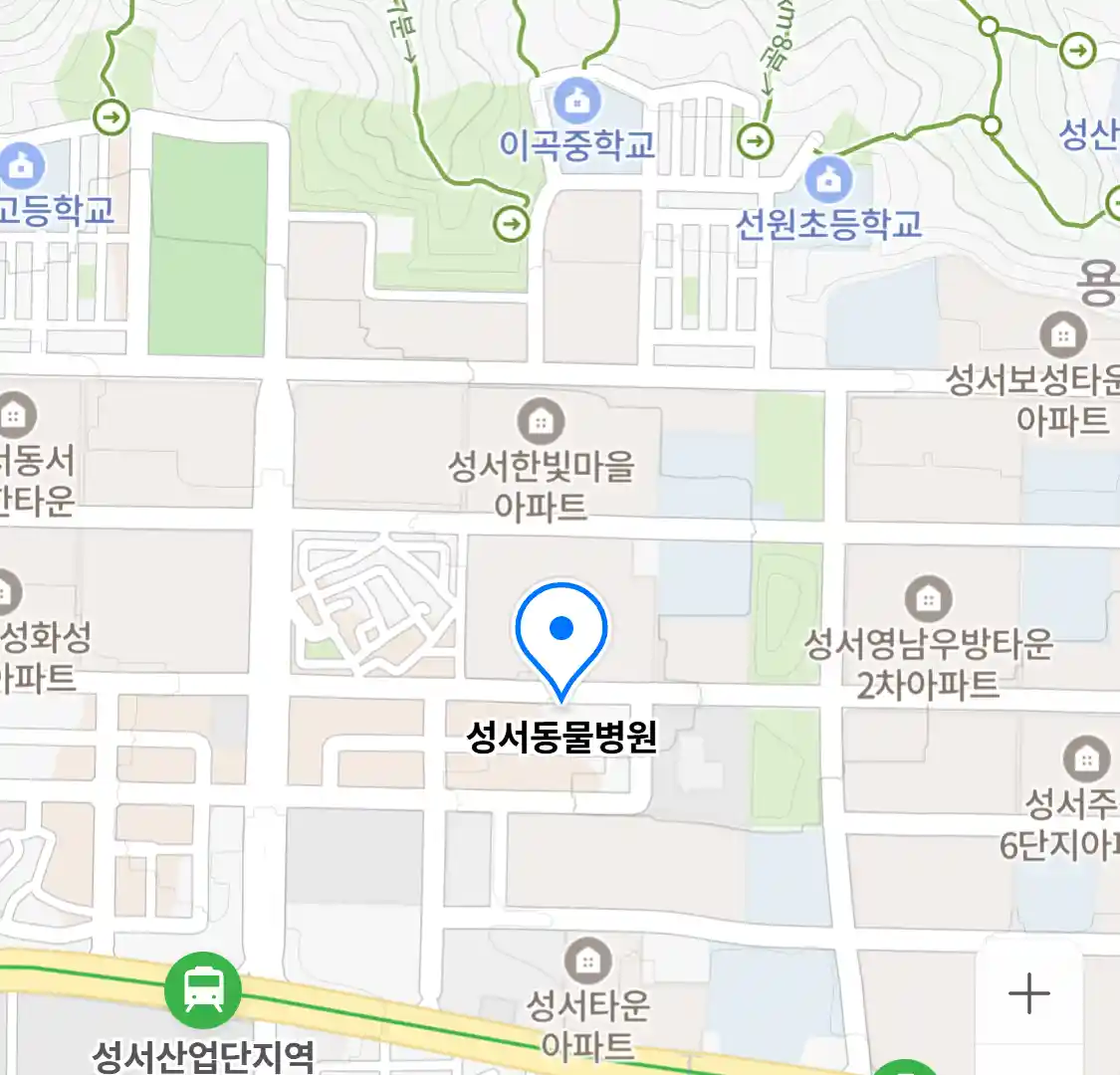 성서동물병원