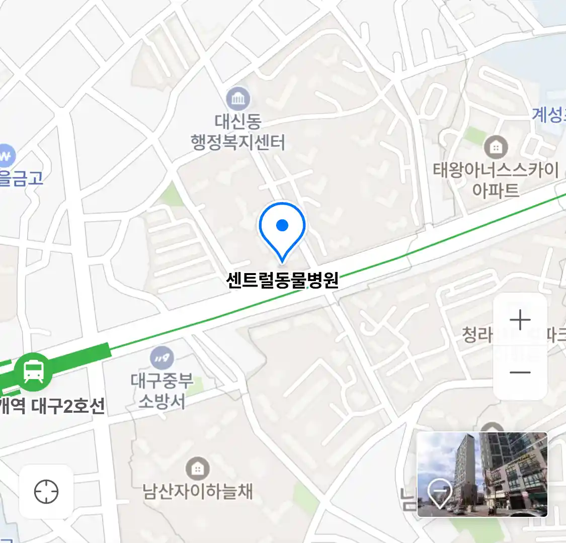 센트럴동물병원