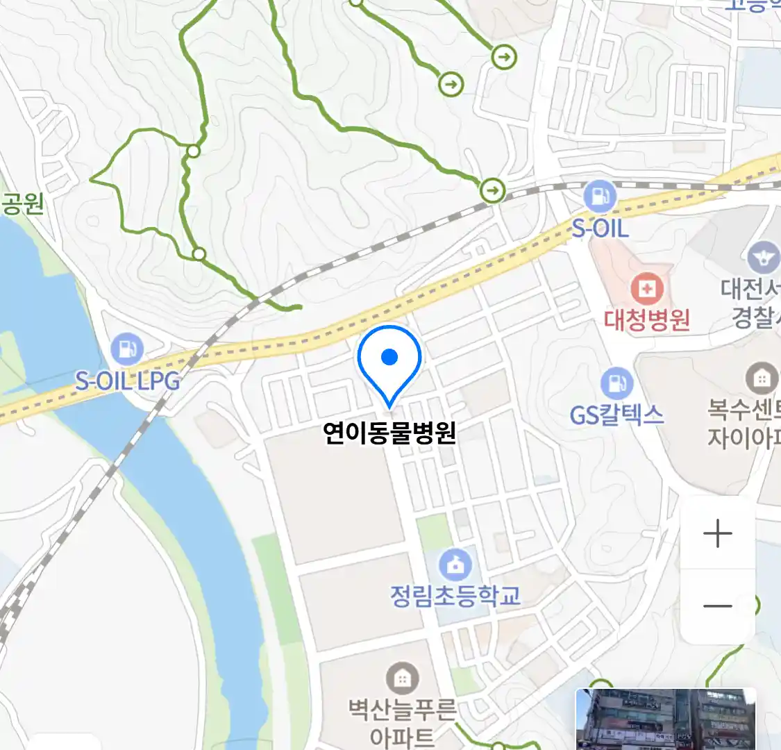 연이동물병원