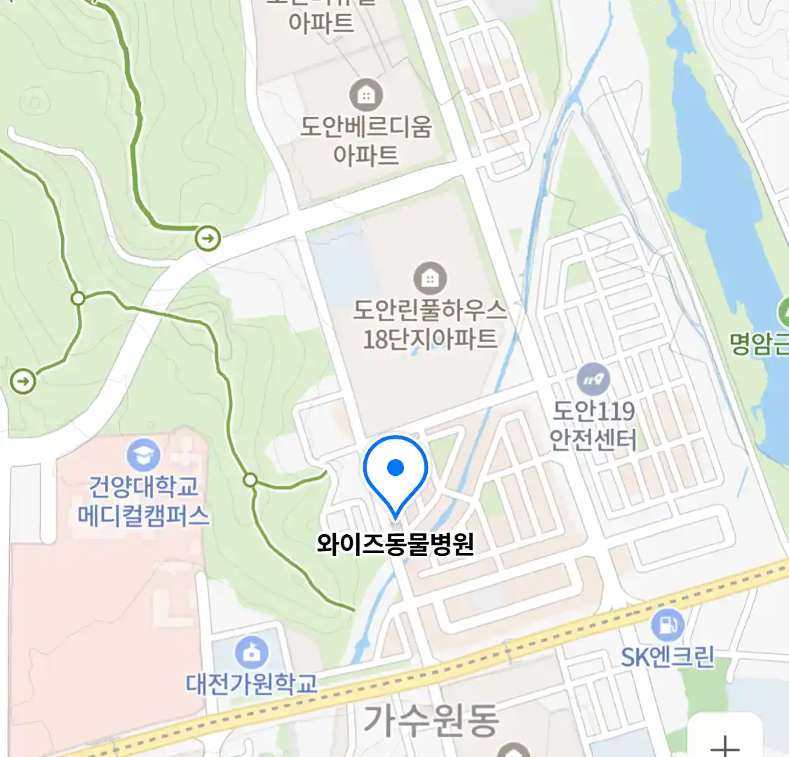 와이즈동물병원