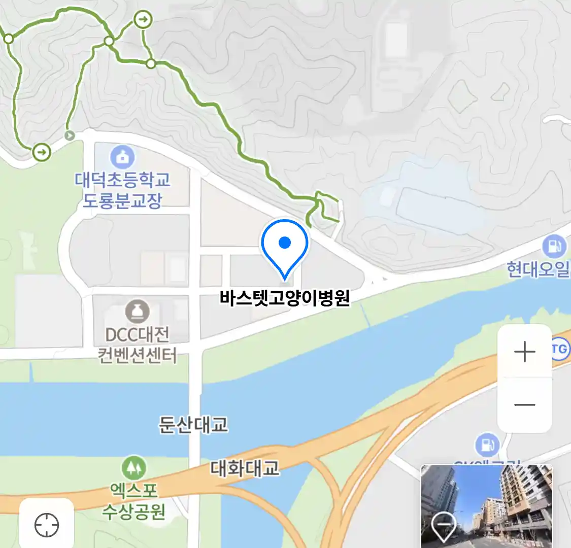 바스텟고양이병원