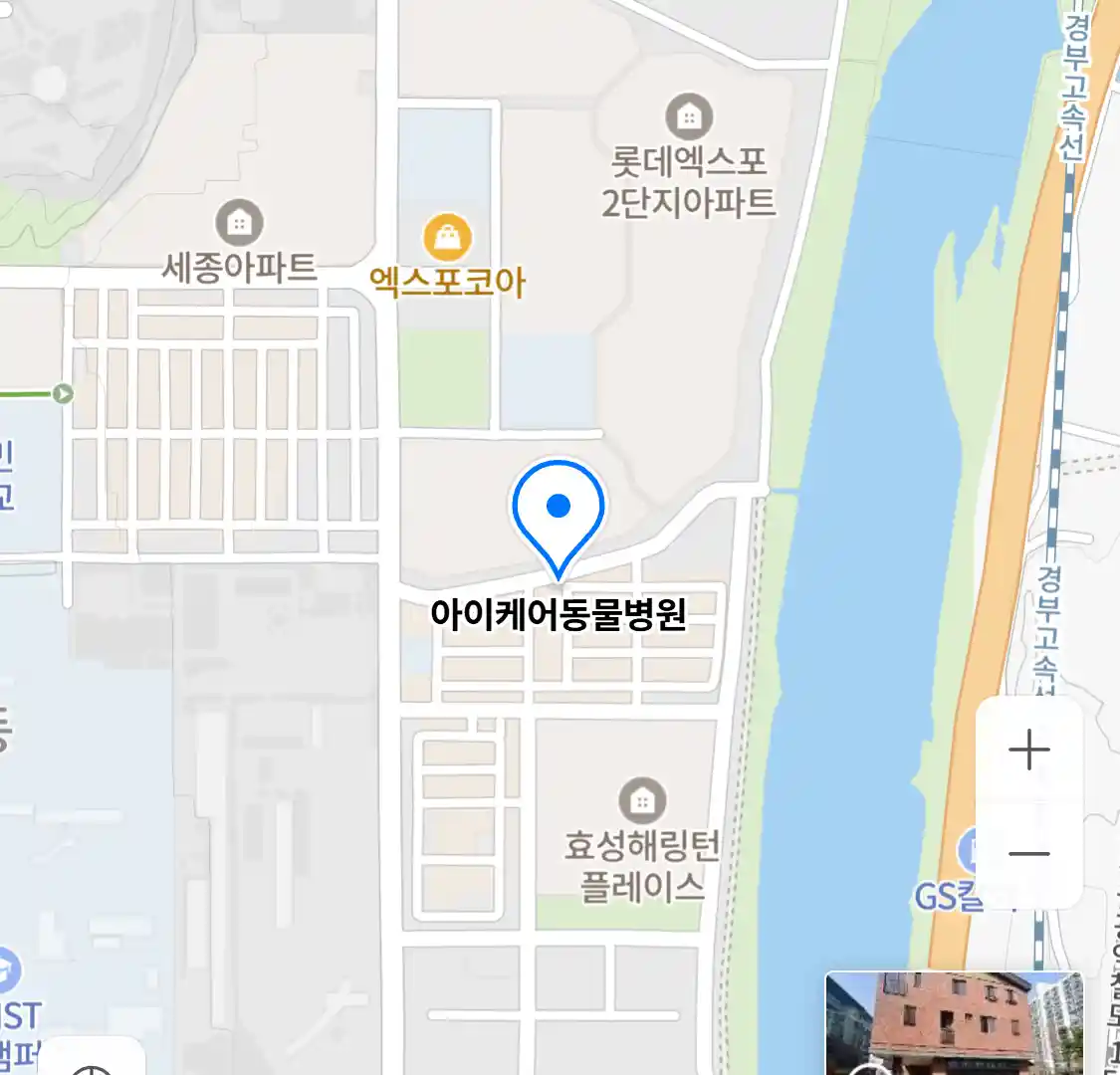아이케어동물병원