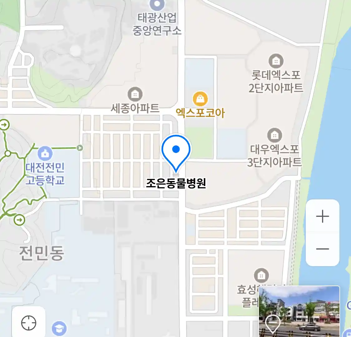 조은동물병원