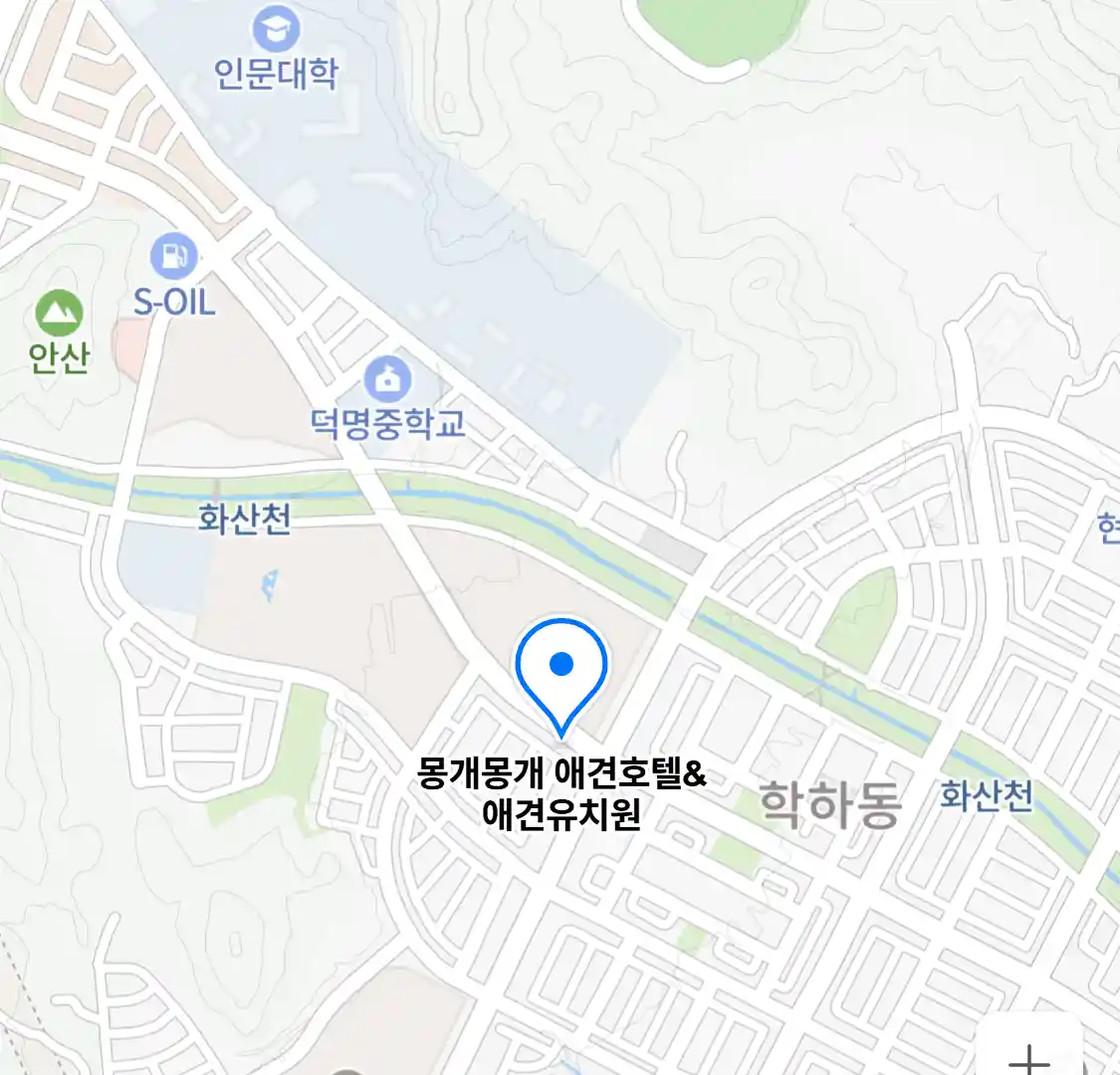 몽개몽개 애견호텔&애견유치원