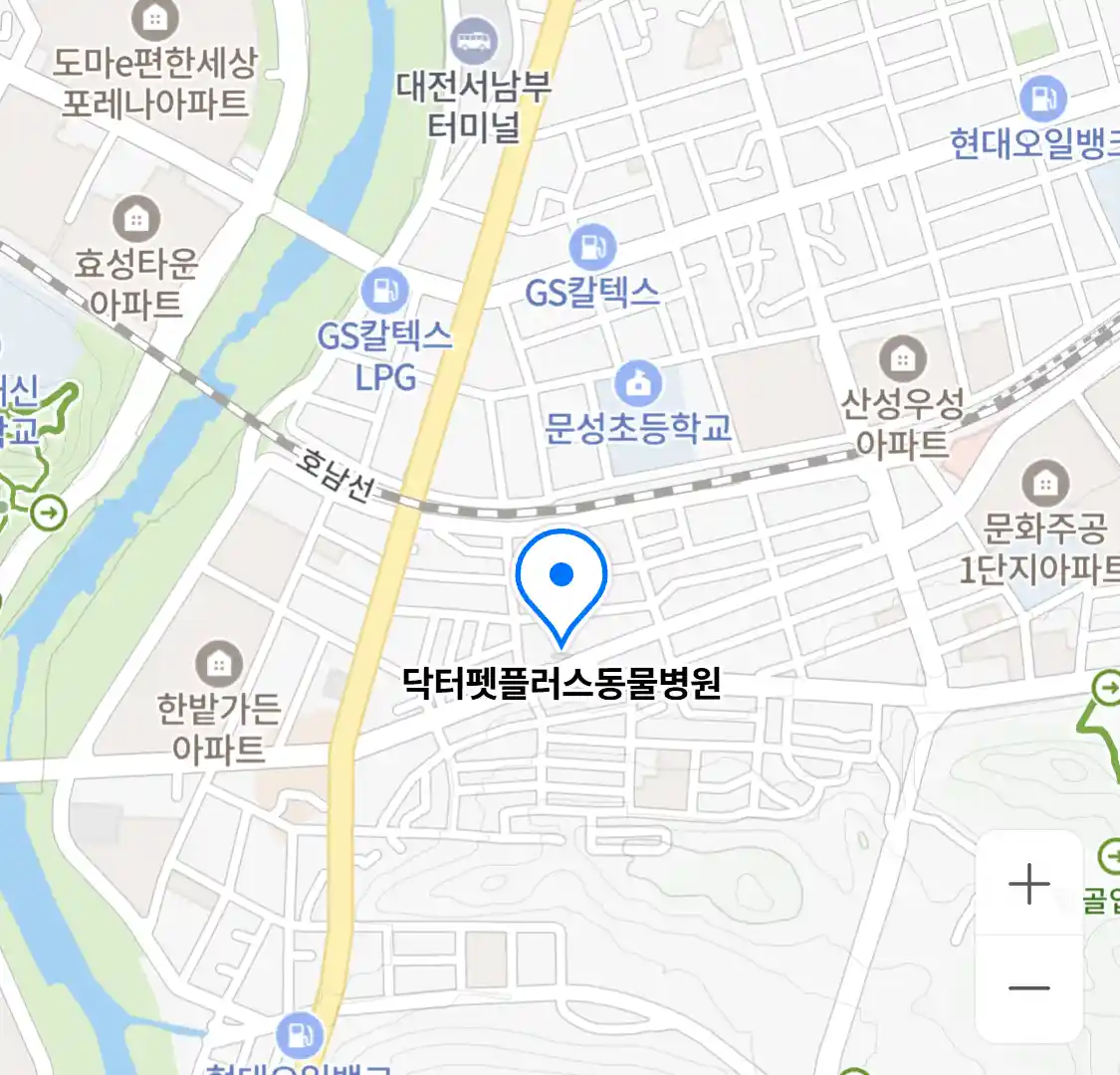 닥터펫플러스동물병원