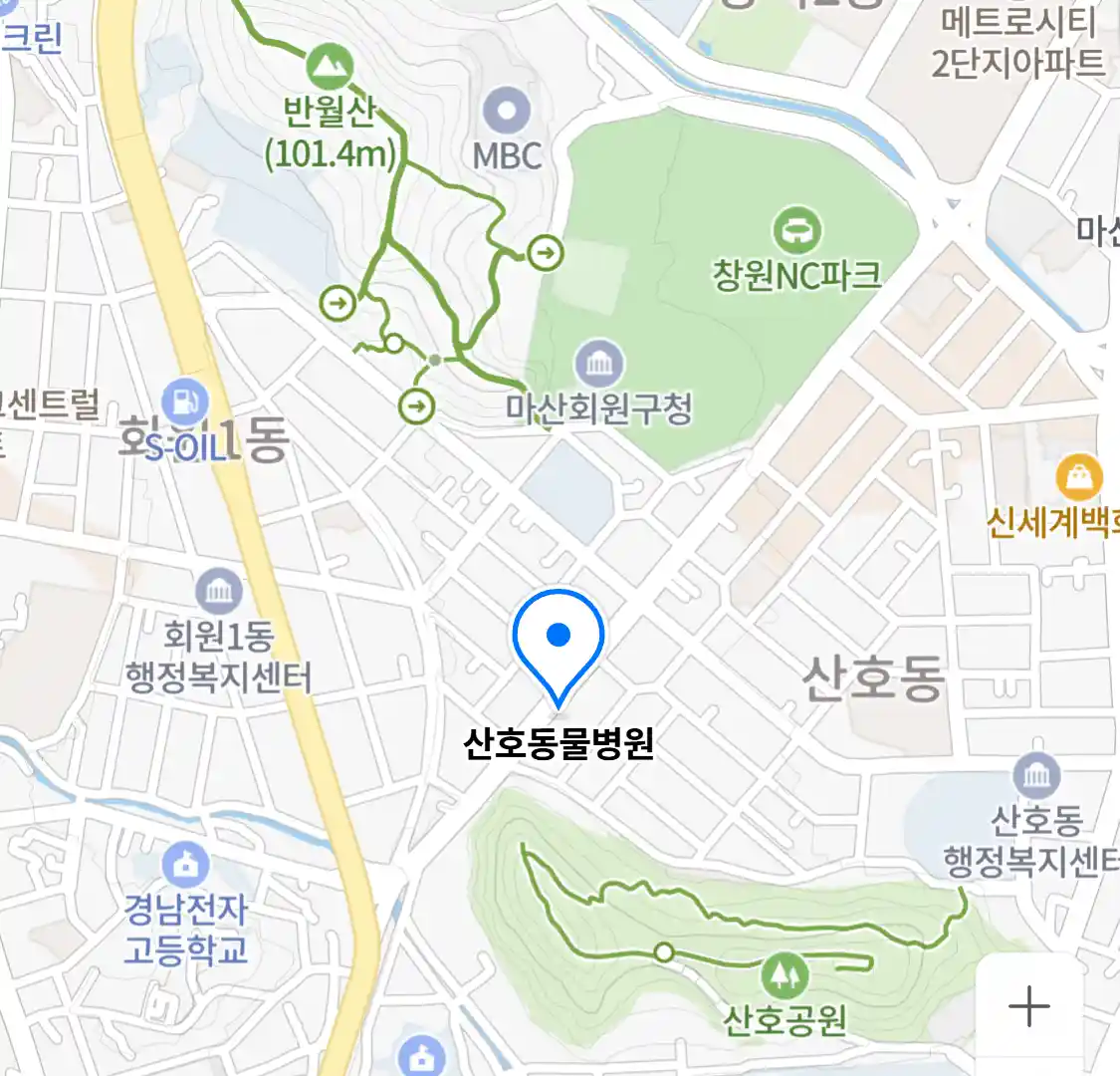 산호동물병원