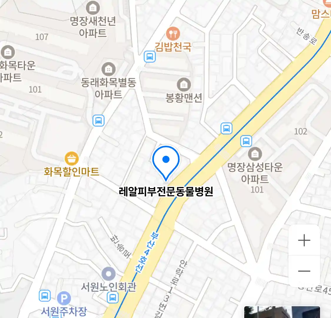 레알피부전문동물병원