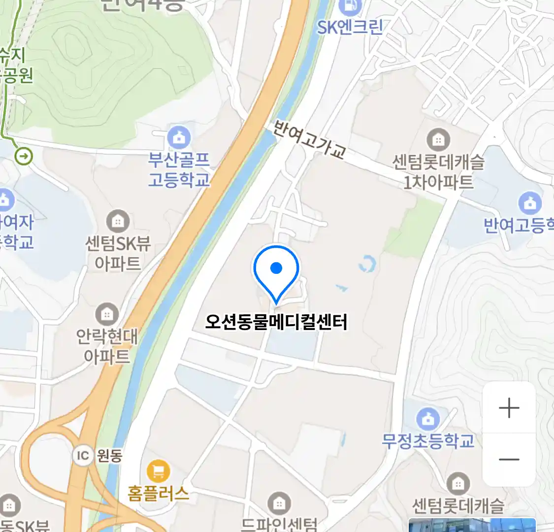 오션동물메디컬센터