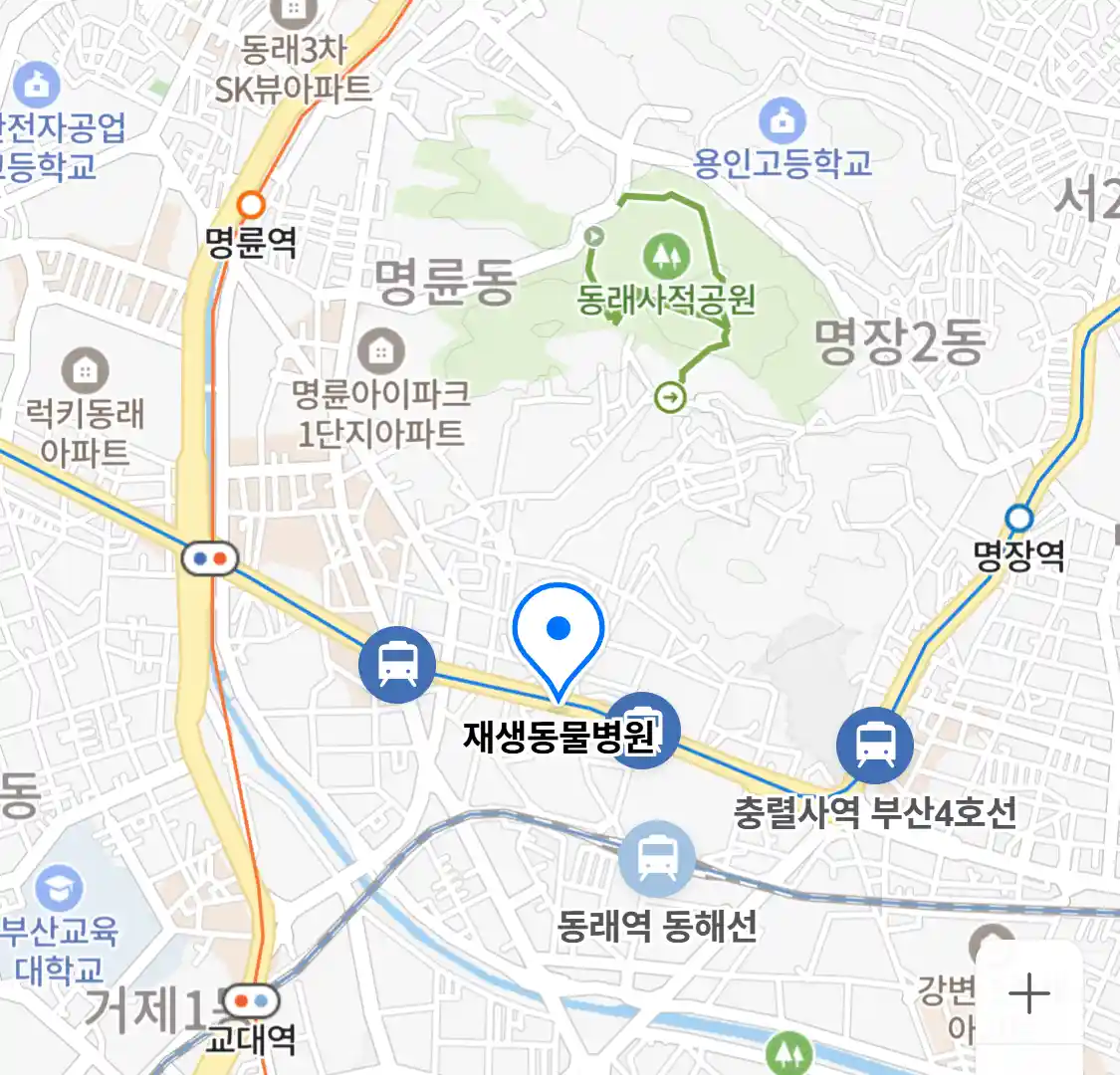 재생동물병원