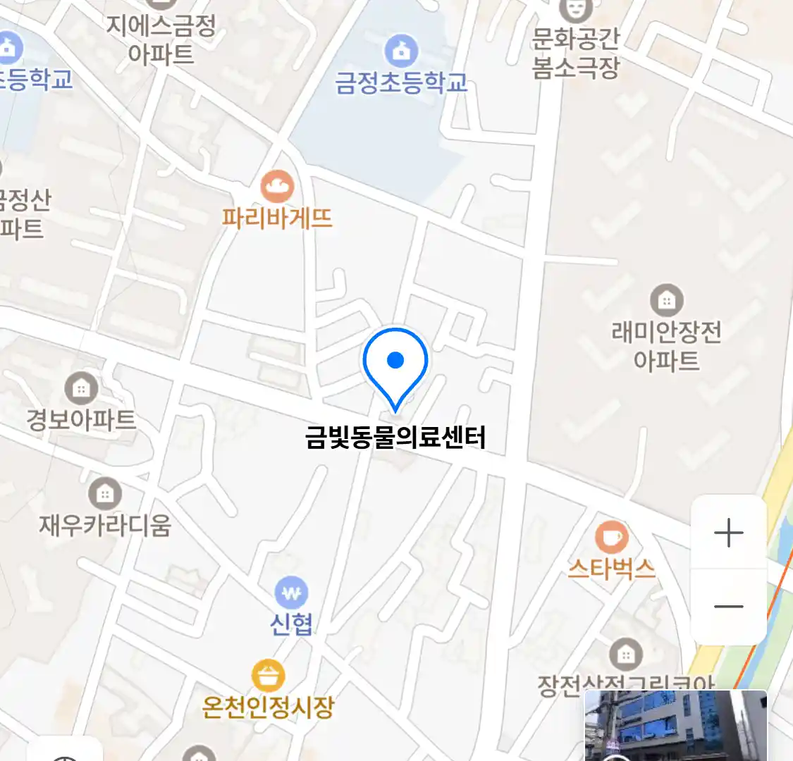 금빛동물의료센터
