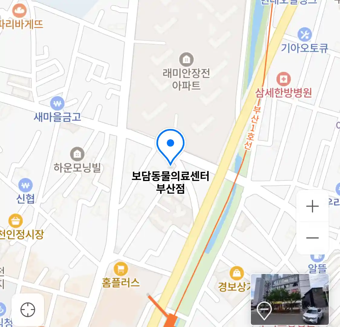 보담동물의료센터 부산점