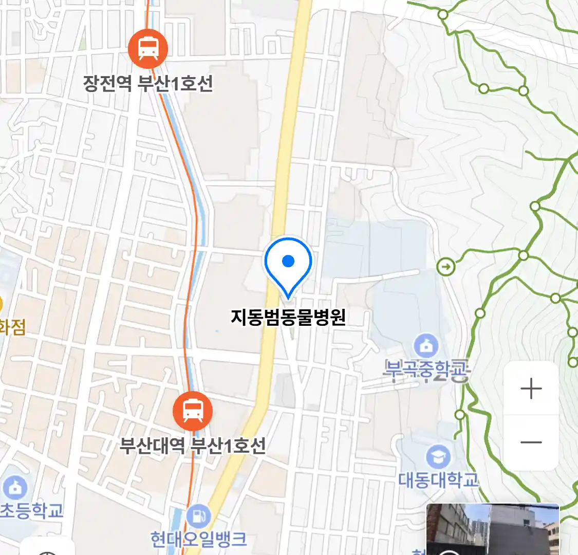 지동범동물병원