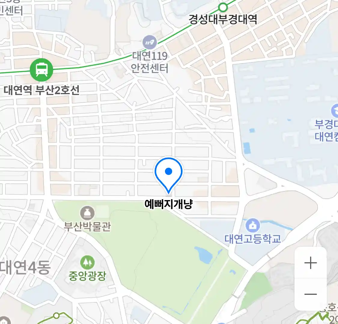 예뻐지개냥