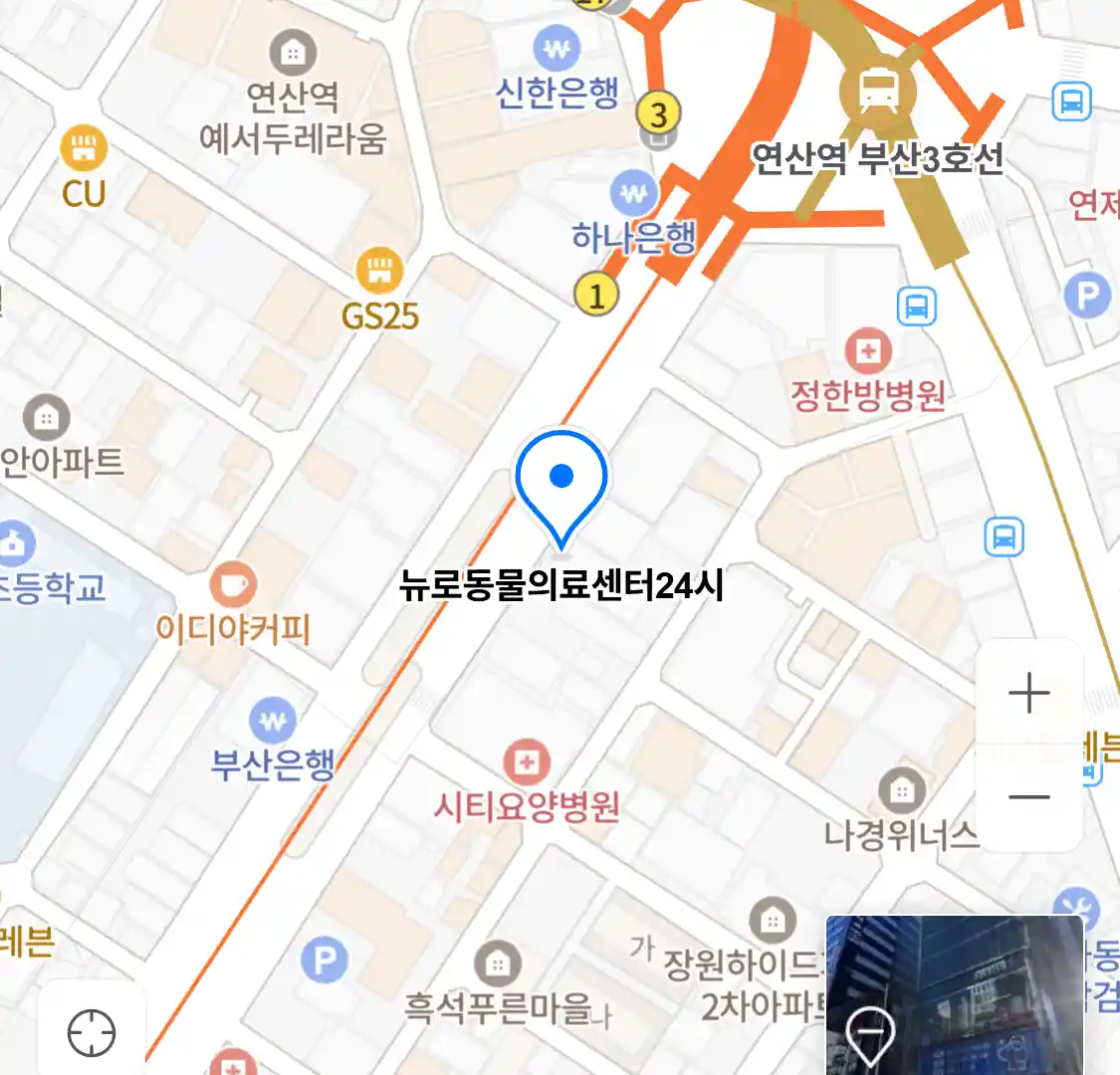 뉴로동물의료센터24시