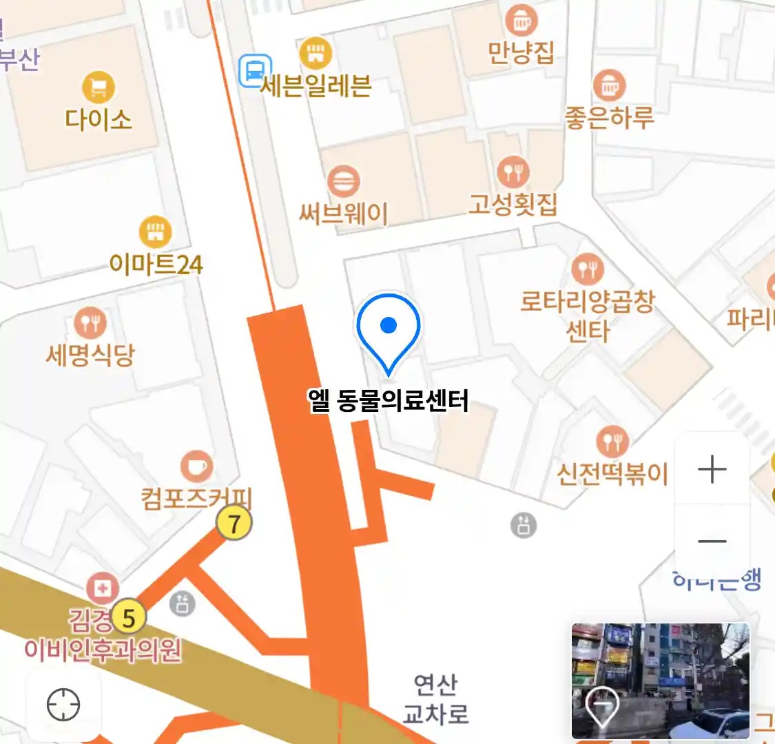 엘 동물의료센터