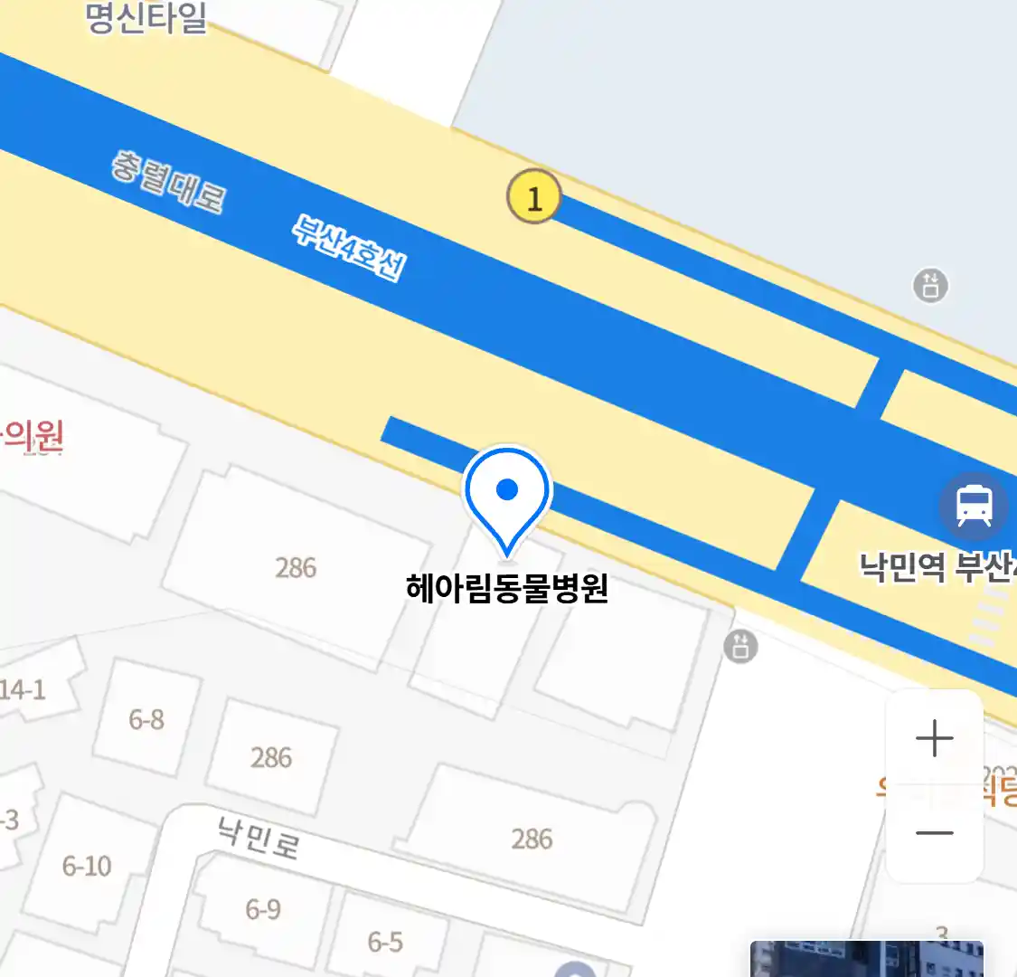 헤아림동물병원