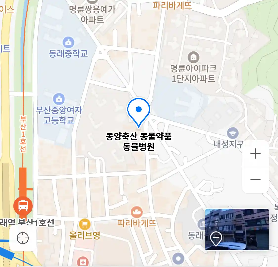 동양축산 동물약품 동물병원