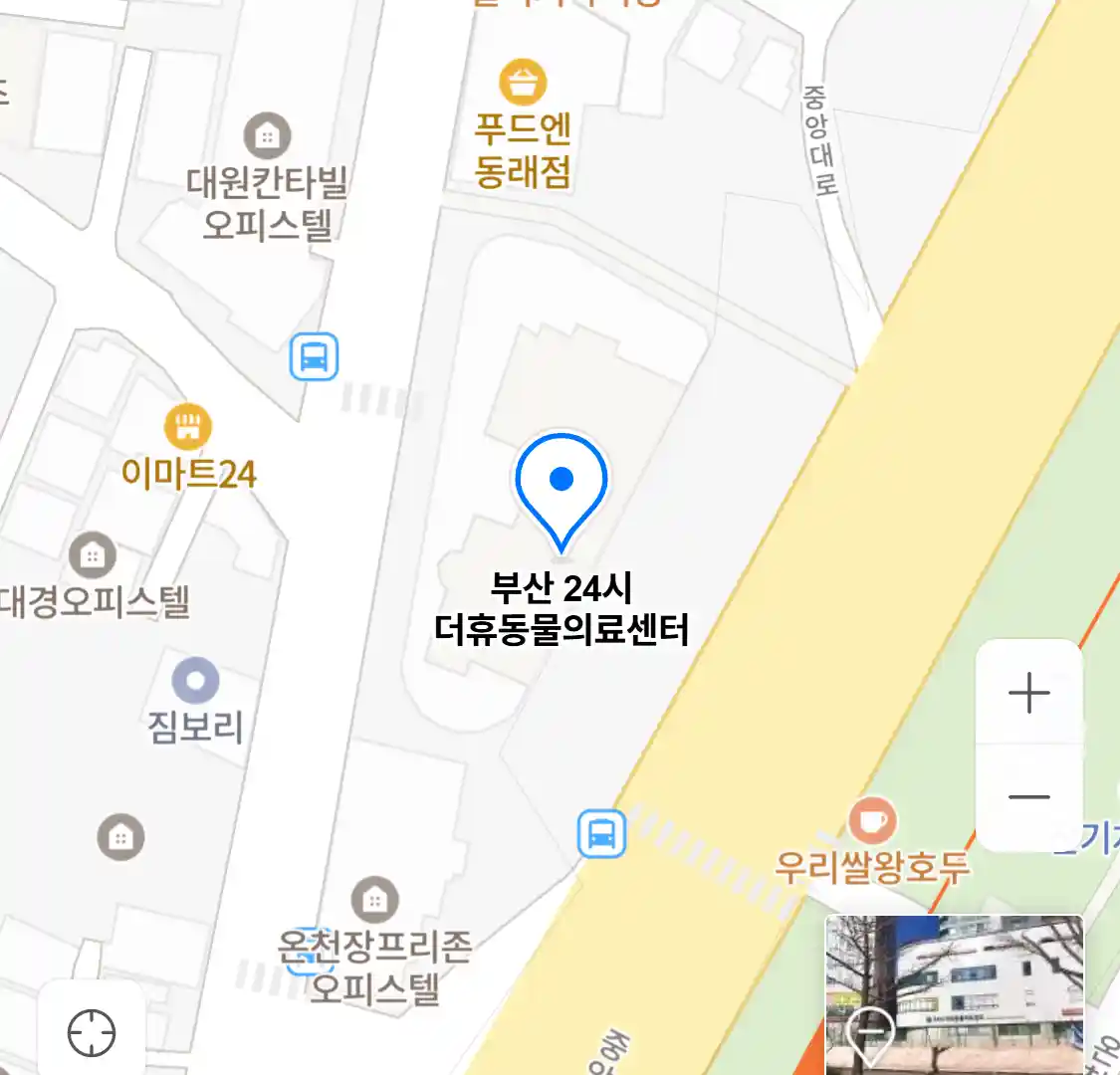 부산 24시 더휴동물의료센터