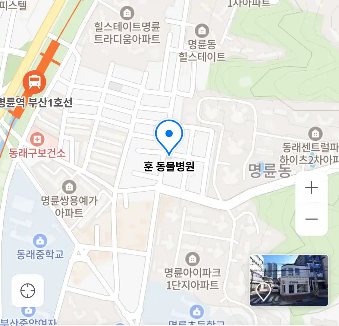 훈 동물병원